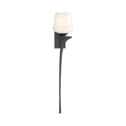 Antasia Wall Light in Natural Iron (Right/Single Glass).