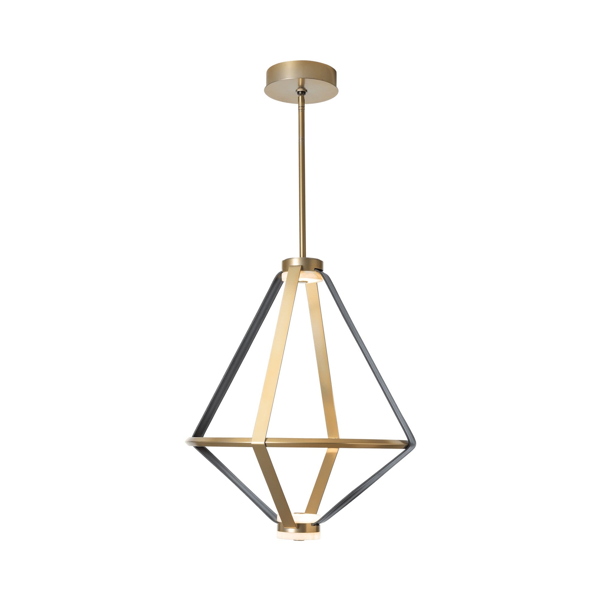 Aspen LED Pendant Light.