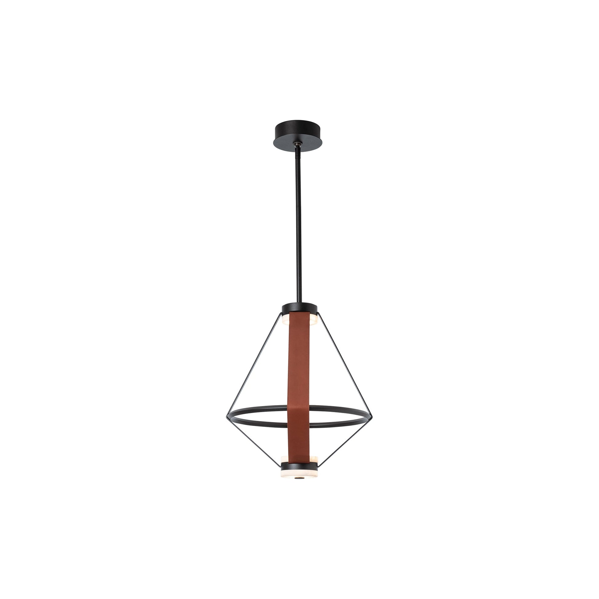 Aspen LED Pendant Light in Detail.