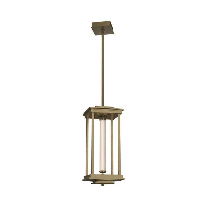 Athena LED Pendant Light in Soft Gold (20.1-Inch).