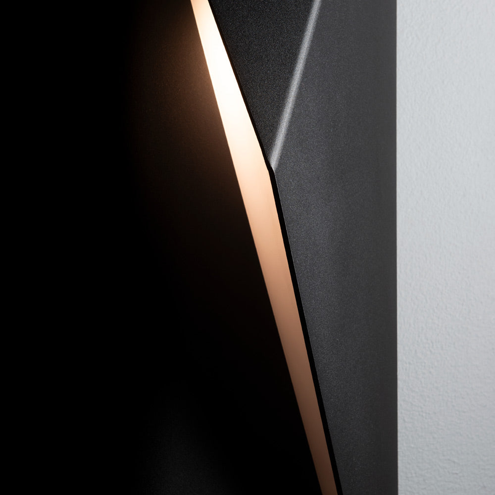 Carbon Outdoor Wall Light in Detail.