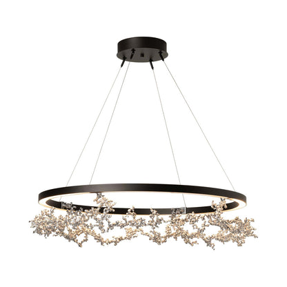 Coral Ring LED Pendant Light in Oil Rubbed Bronze/Sterling.