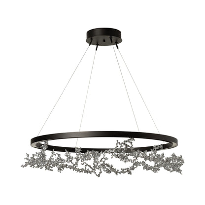 Coral Ring LED Pendant Light in Detail.