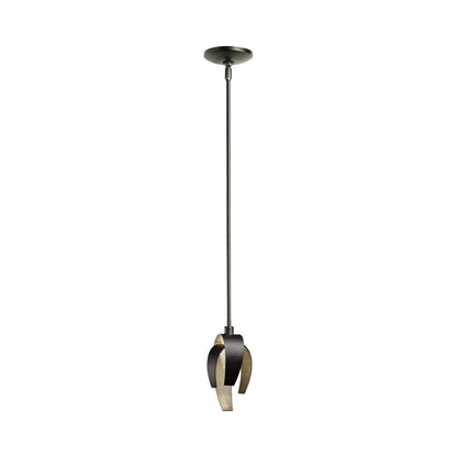 Corona Single Mini Pendant Light in Detail.