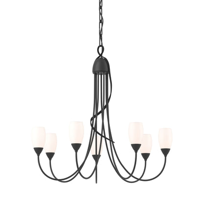 Flora Multi-Light Chandelier in Black.