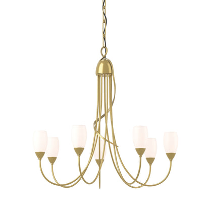 Flora Multi-Light Chandelier in Modern Brass.