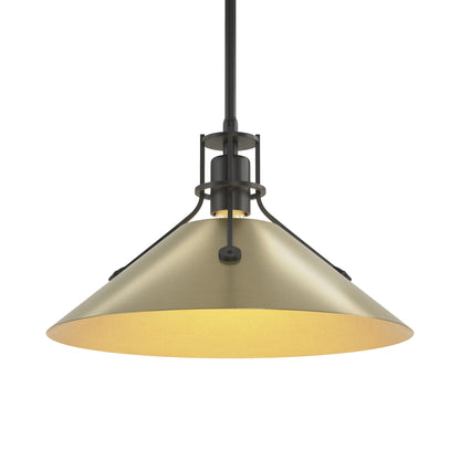 Henry Steel Shade Pendant Light in Black/Modern Brass.