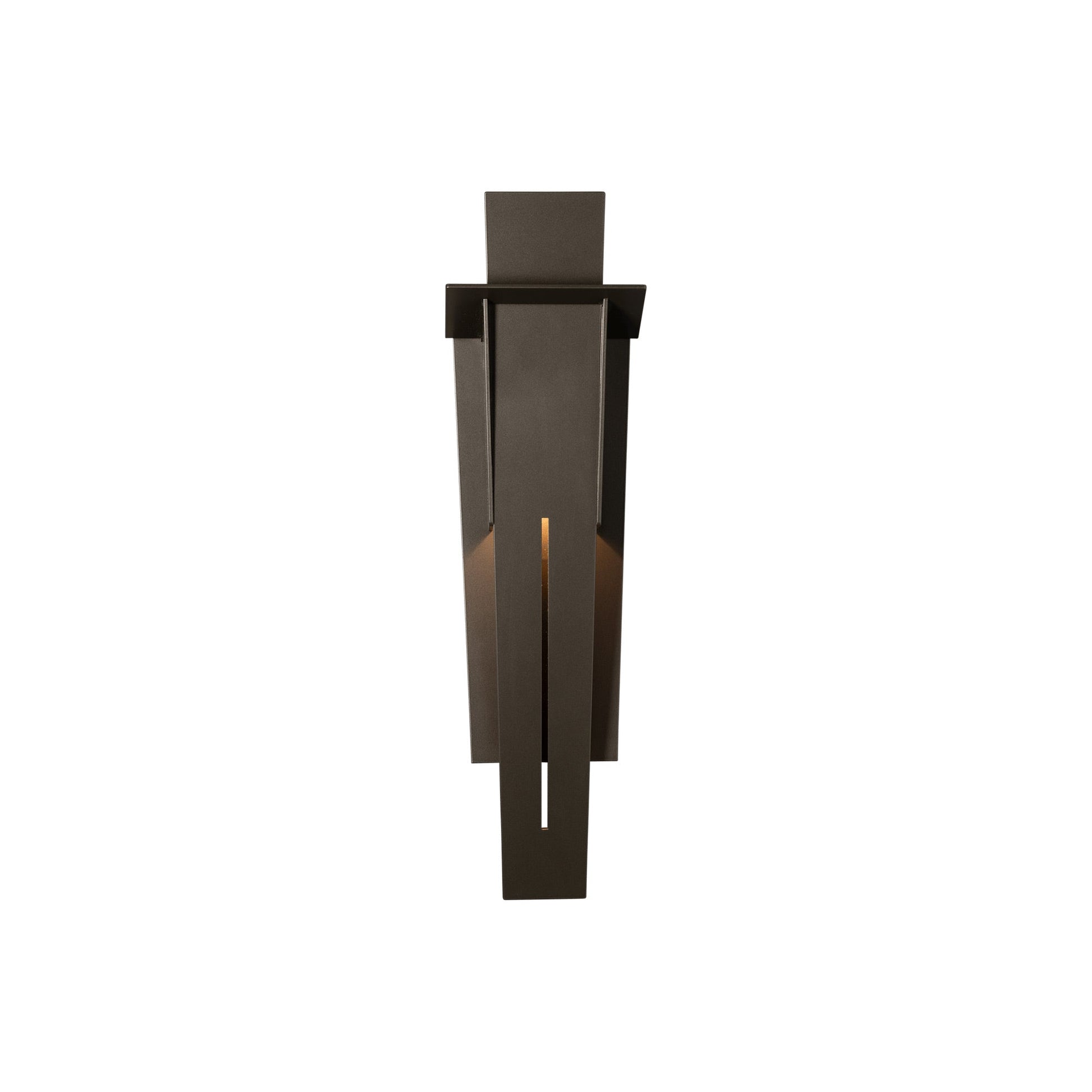 Linea Outdoor Wall Light in Coastal Dark Smoke (21.9-Inch).