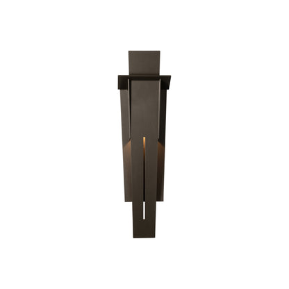 Linea Outdoor Wall Light in Coastal Dark Smoke (21.9-Inch).