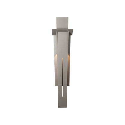 Linea Outdoor Wall Light in Coastal Burnished Steel (31.3-Inch).