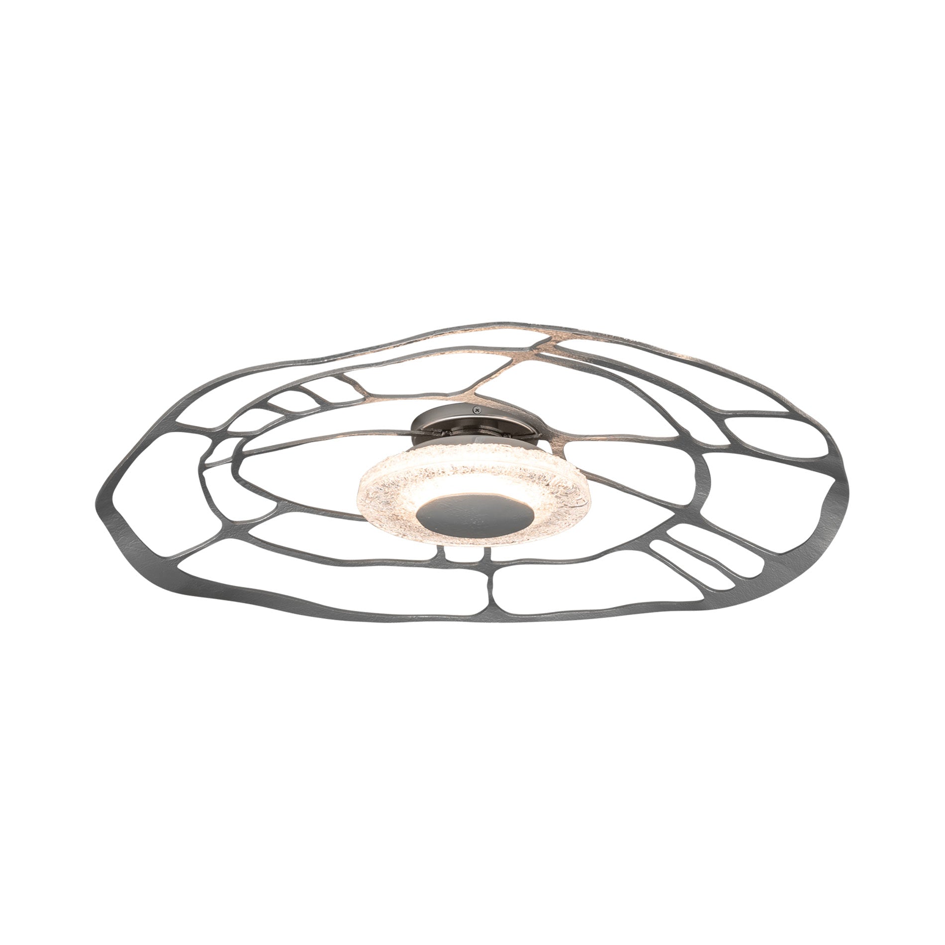 Muse LED Ceiling / Wall Light in Detail.
