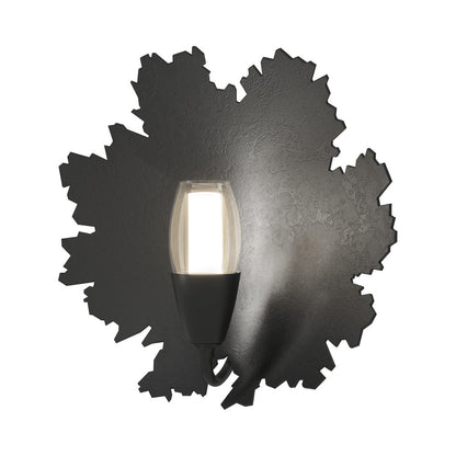Pangea Wall Light in Black.