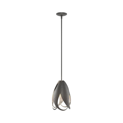 Pental Pendant Light in Black.