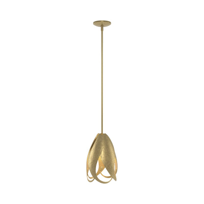 Pental Pendant Light in Modern Brass.