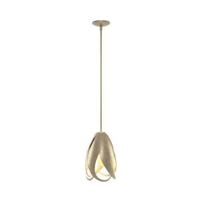 Pental Pendant Light in Soft Gold.