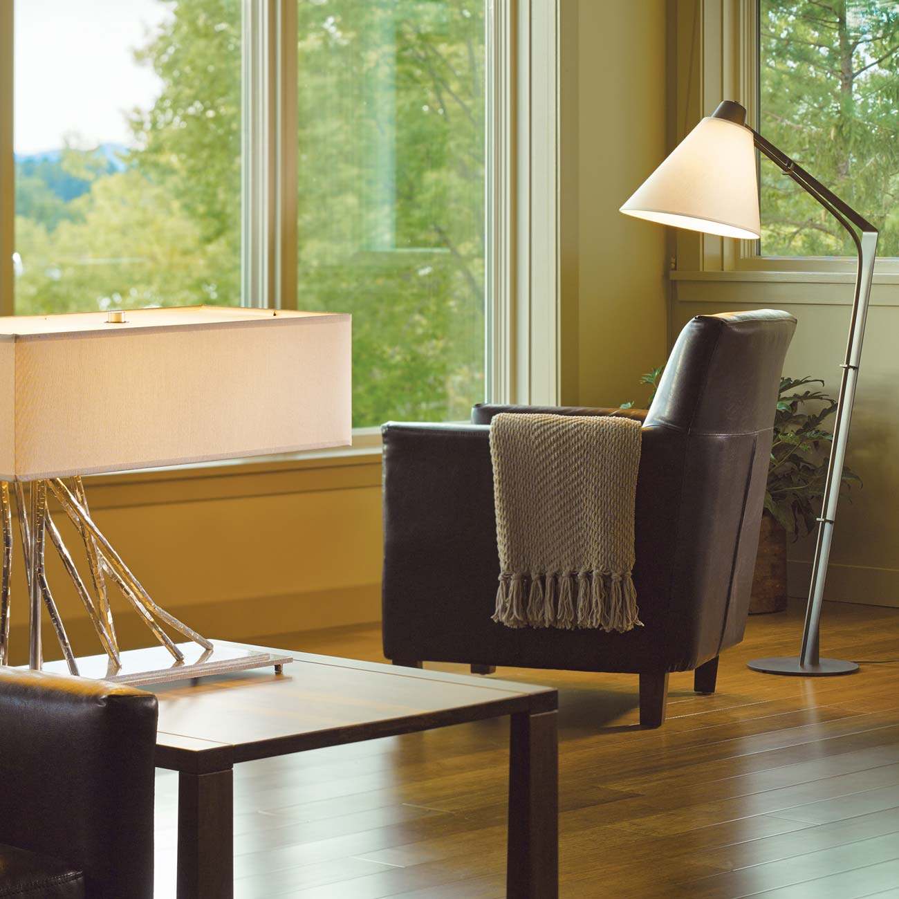Reach Floor Lamp in living room.
