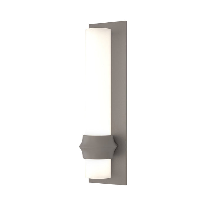 Rook Outdoor Wall Light in Coastal Burnished Steel (Large).