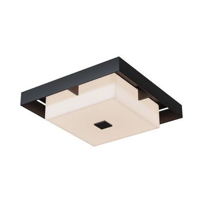 Shadow Box Outdoor Flush Mount Ceiling Light in Coastal Black/Coastal Black (Small).