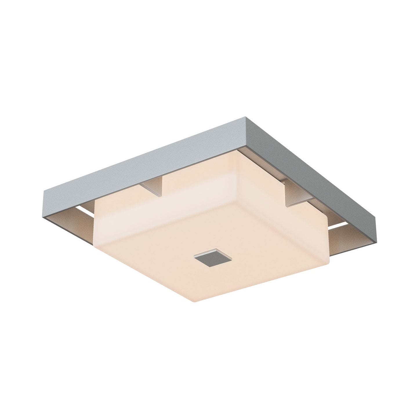 Shadow Box Outdoor Flush Mount Ceiling Light in Coastal Burnished Steel/Coastal Burnished Steel (Small).