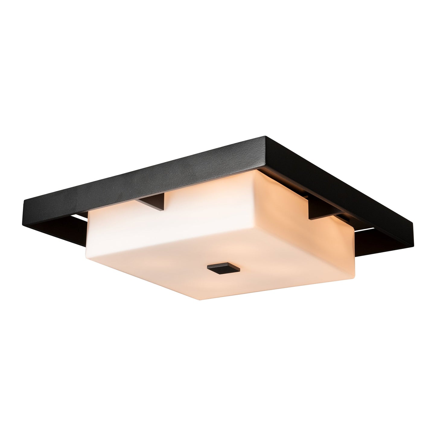 Shadow Box Outdoor Flush Mount Ceiling Light in Coastal Black/Coastal Dark Smoke (Large).