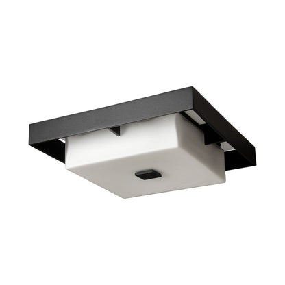 Shadow Box Outdoor Flush Mount Ceiling Light in Detail.