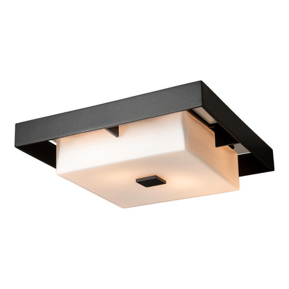 Shadow Box Outdoor Flush Mount Ceiling Light in Detail.