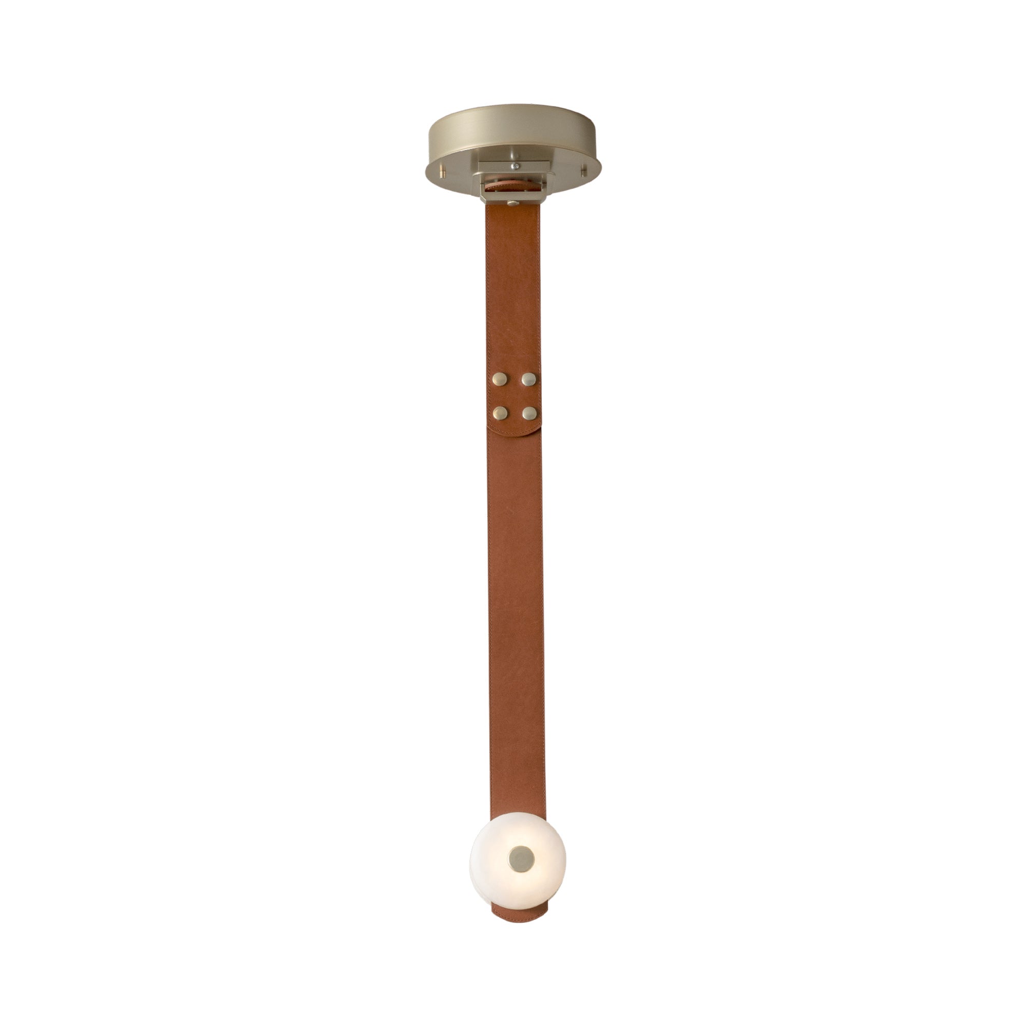 Snaps Single LED Pendant Light.