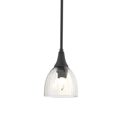 Trumpet Mini Pendant Light in Black/Water Glass.