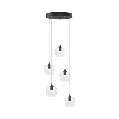 Ume 5-Light Pendant Light in Dark Smoke (Clear Glass/Standard).