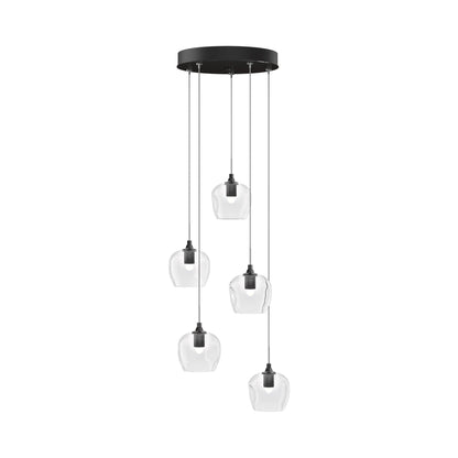 Ume 5-Light Pendant Light in Ink (Clear Glass/Standard).