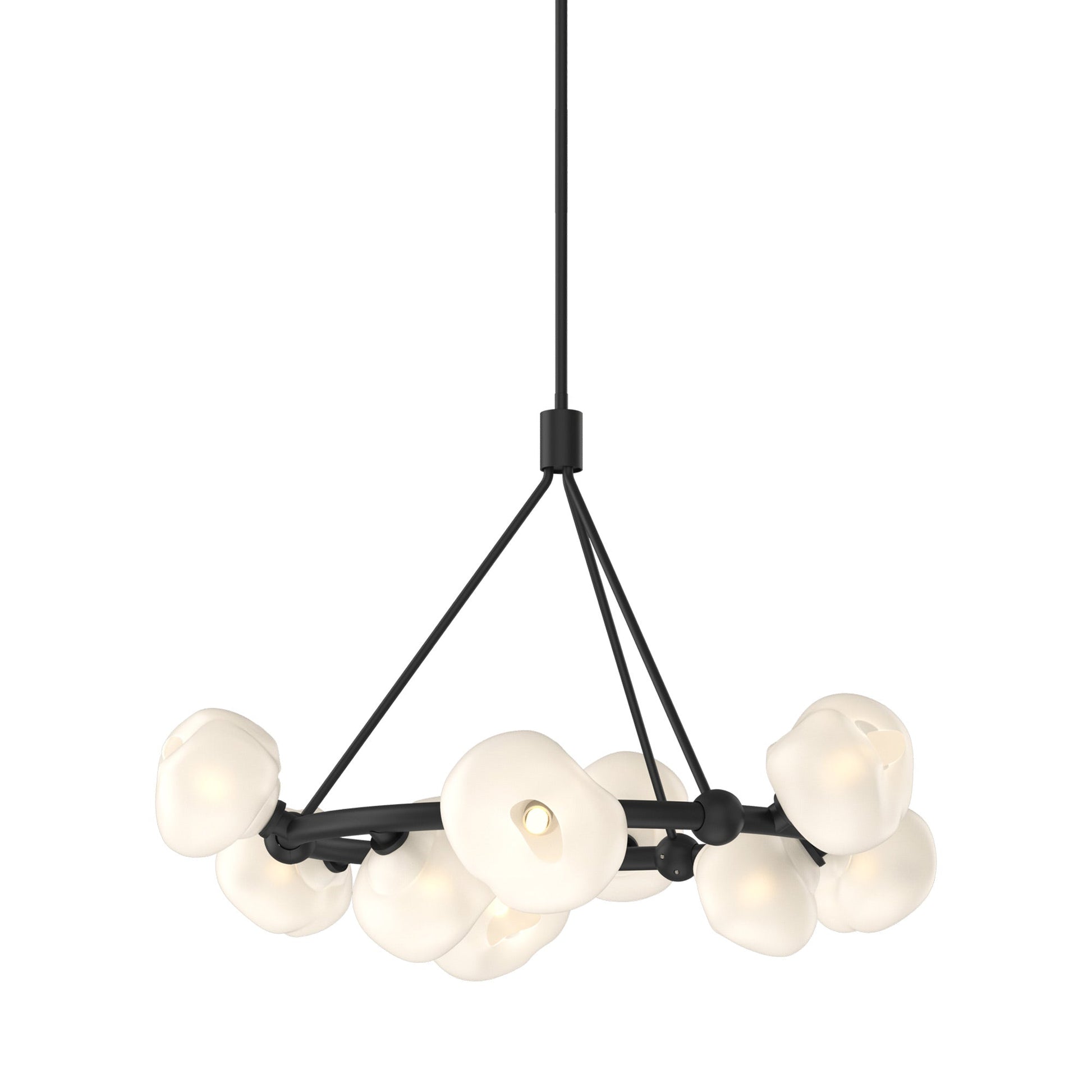 Ume Ring Pendant Light in Black.