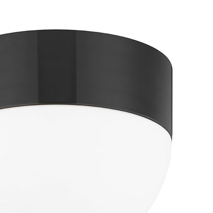 Adams Flush Mount Ceiling Light in Detail.