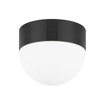 Adams Flush Mount Ceiling Light.