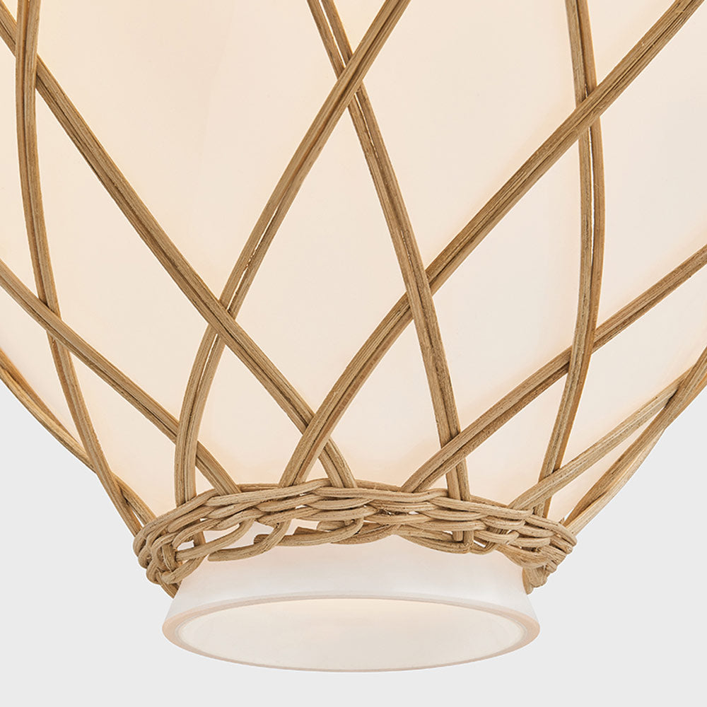 Apple Valley Pendant Light in Detail.