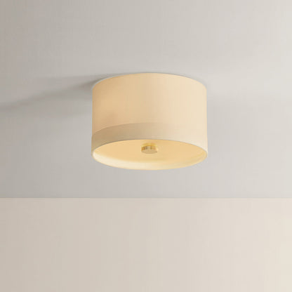 Ashland Flush Mount Ceiling Light in Detail.