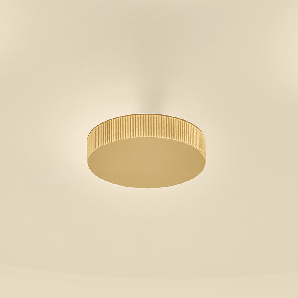 Ashland Flush Mount Ceiling Light in Detail.