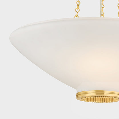 Awosting Pendant Light in Detail.