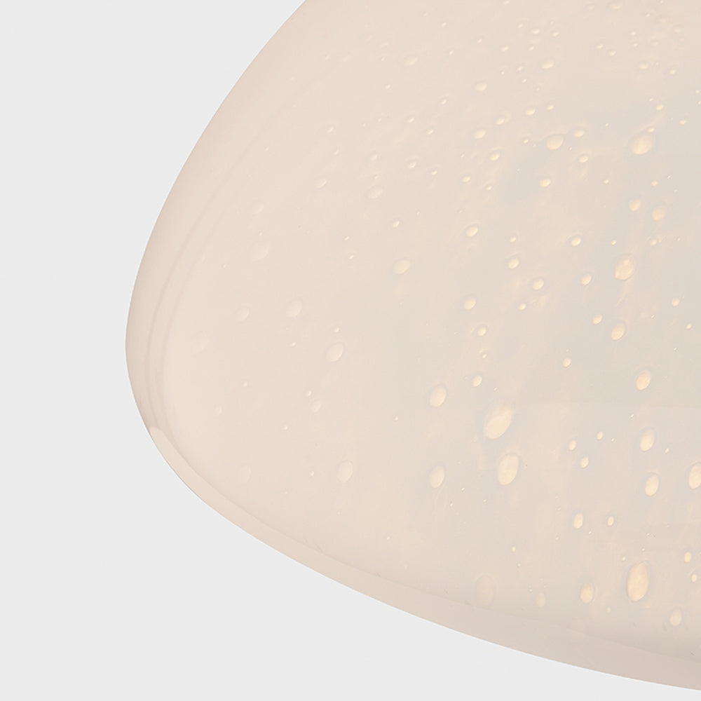 Baudette Pendant Light in Detail.