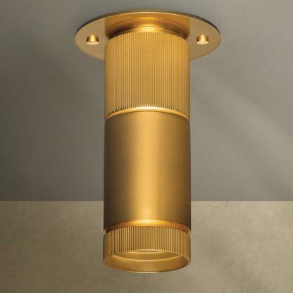 Dighton Flush Mount Ceiling Light in Detail.