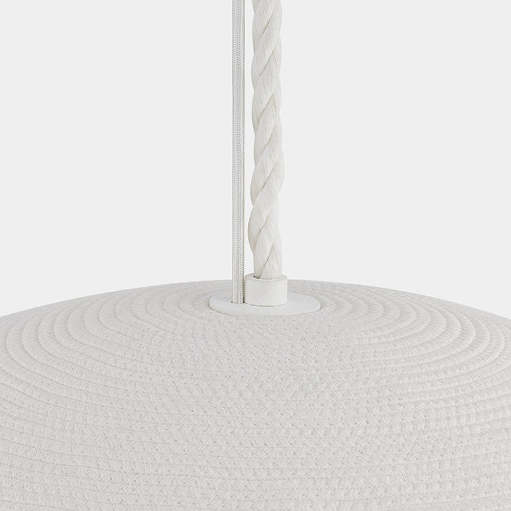 Ferndale Pendant Light in Detail.