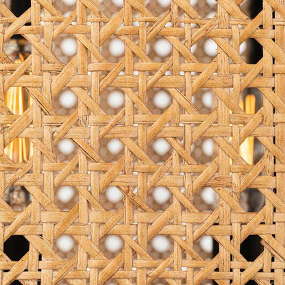 Georgia Pendant Light in Detail.