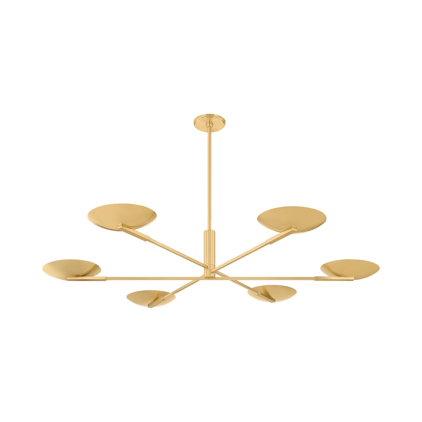 Johnson LED Chandelier.