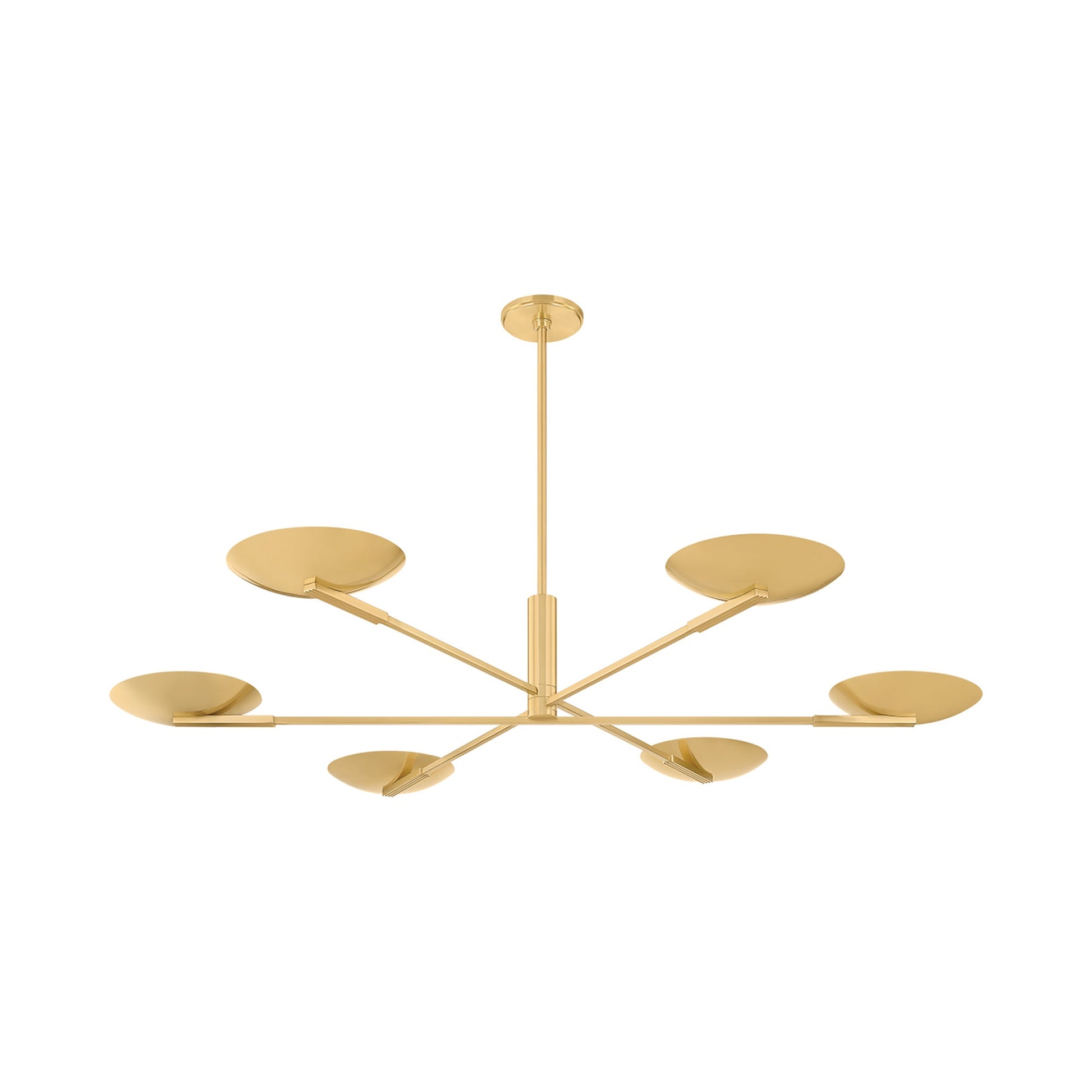 Johnson LED Chandelier.