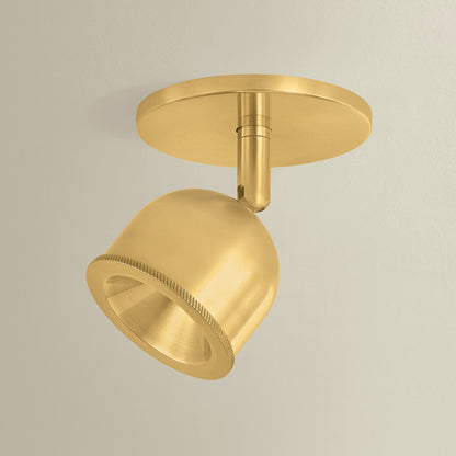 Tuthill LED Semi Flush Mount Ceiling Light in Detail.