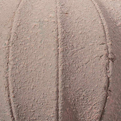 Clamshell Table Lamp in Detail.