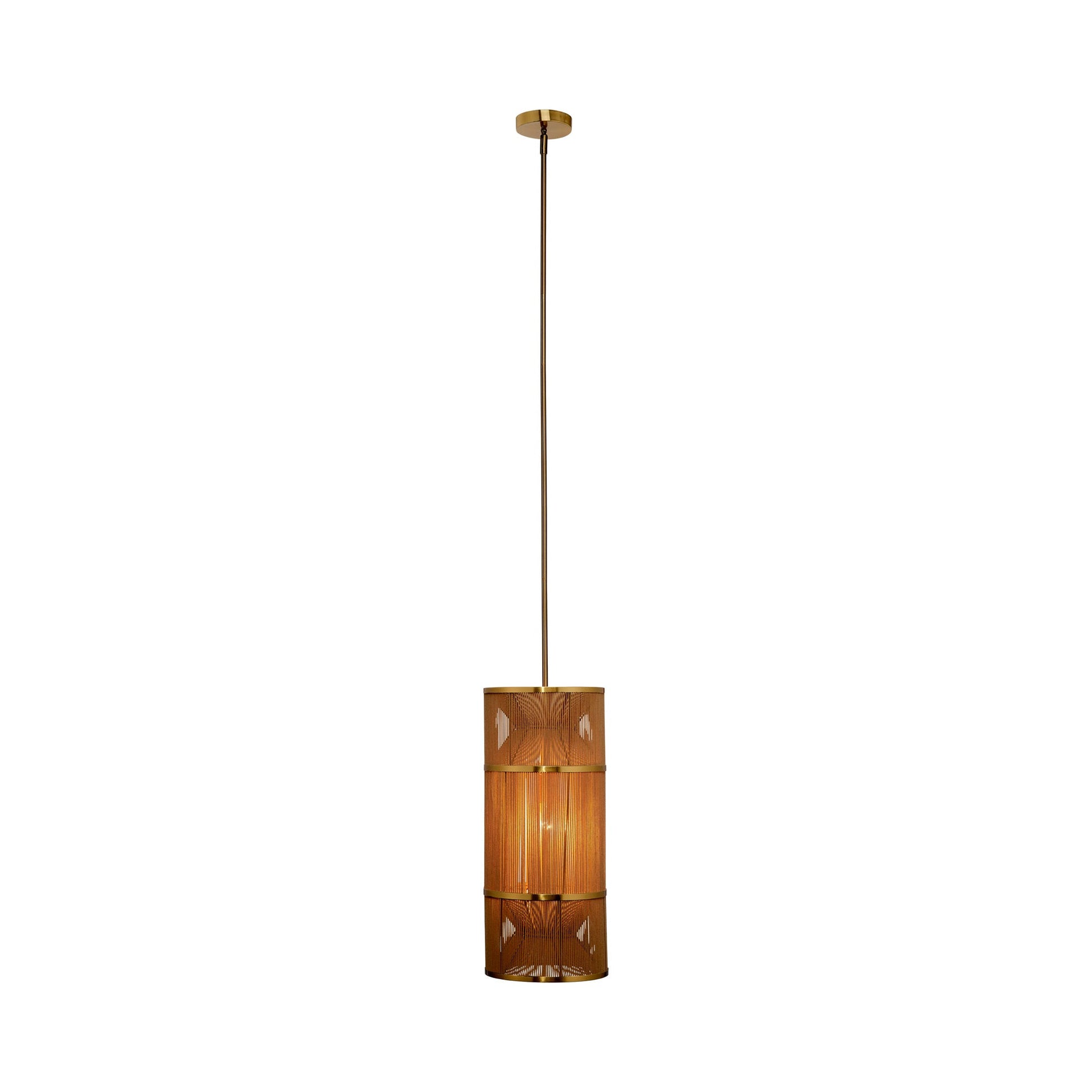 Congruent Pendant Light in Detail.