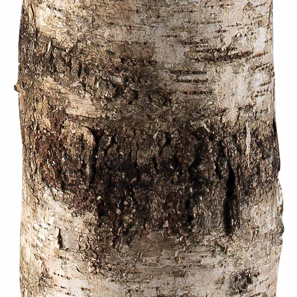 Forester Floor Lamp in Detail.