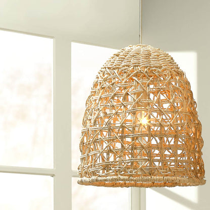 Netted Pendant Light in Detail.
