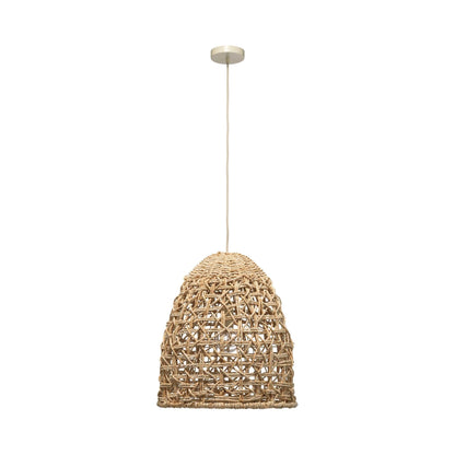 Netted Pendant Light in Detail.