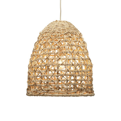 Netted Pendant Light in Detail.